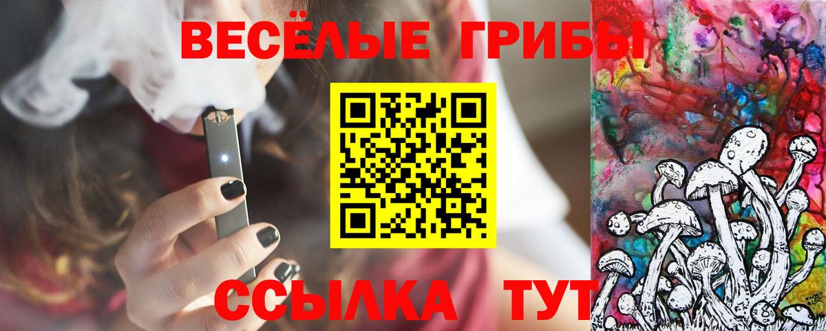 Псилоцибиновые грибы Magic Shrooms Пугачёв